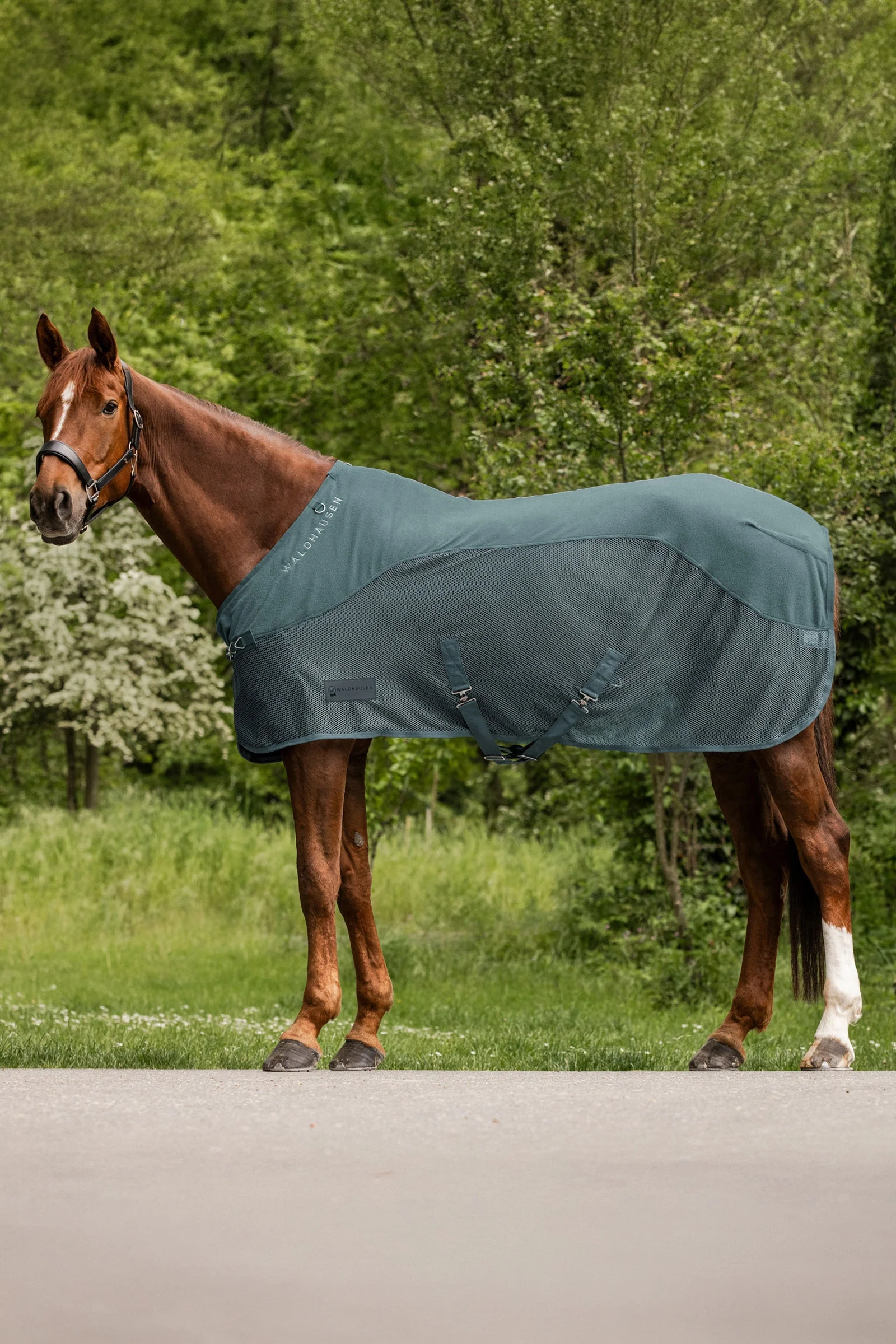 Comfort derka przeciw owadom z polarem Pine Green 145