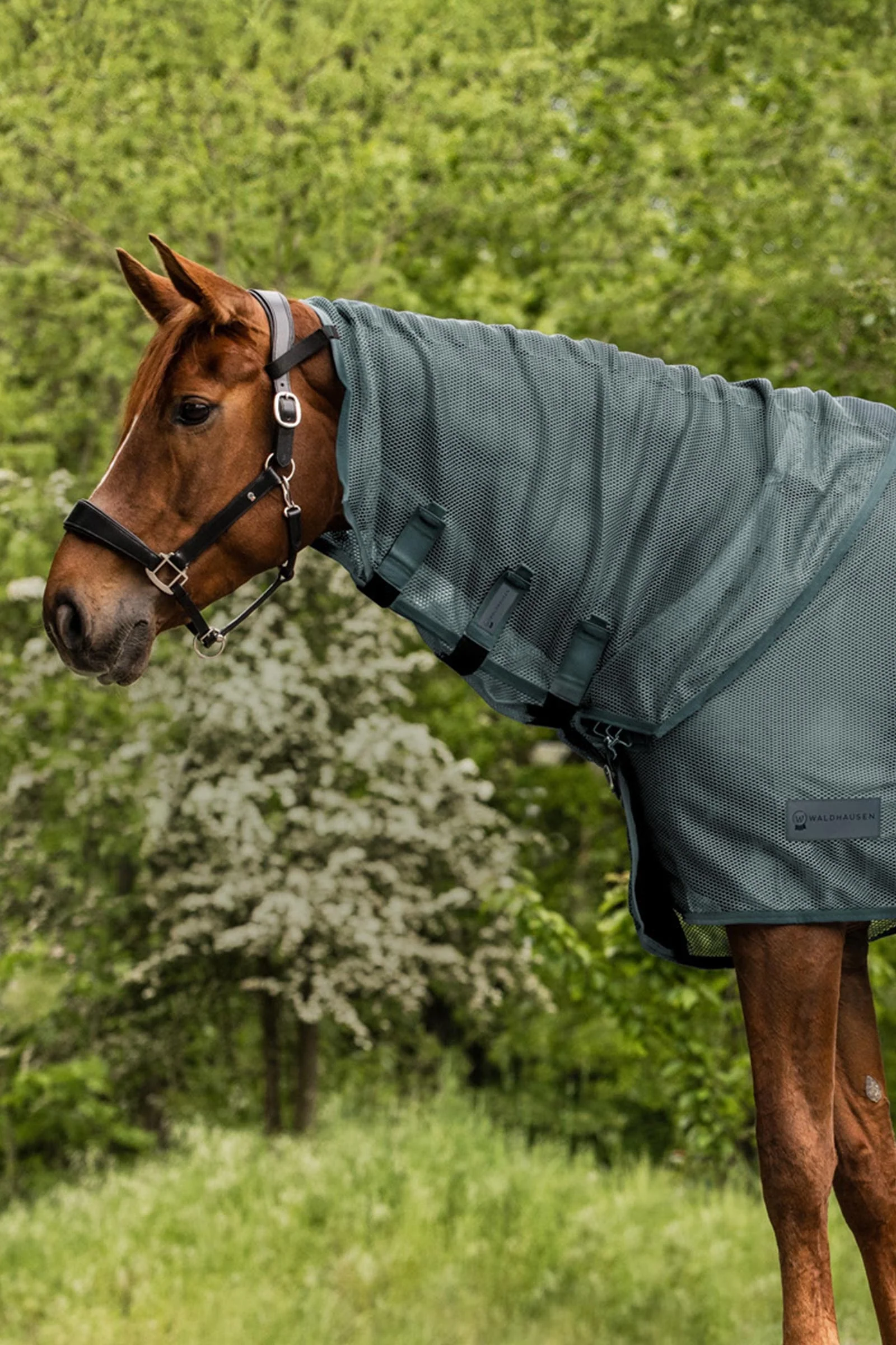 Comfort ochraniacz szyi przeciw owadom Pine Green C