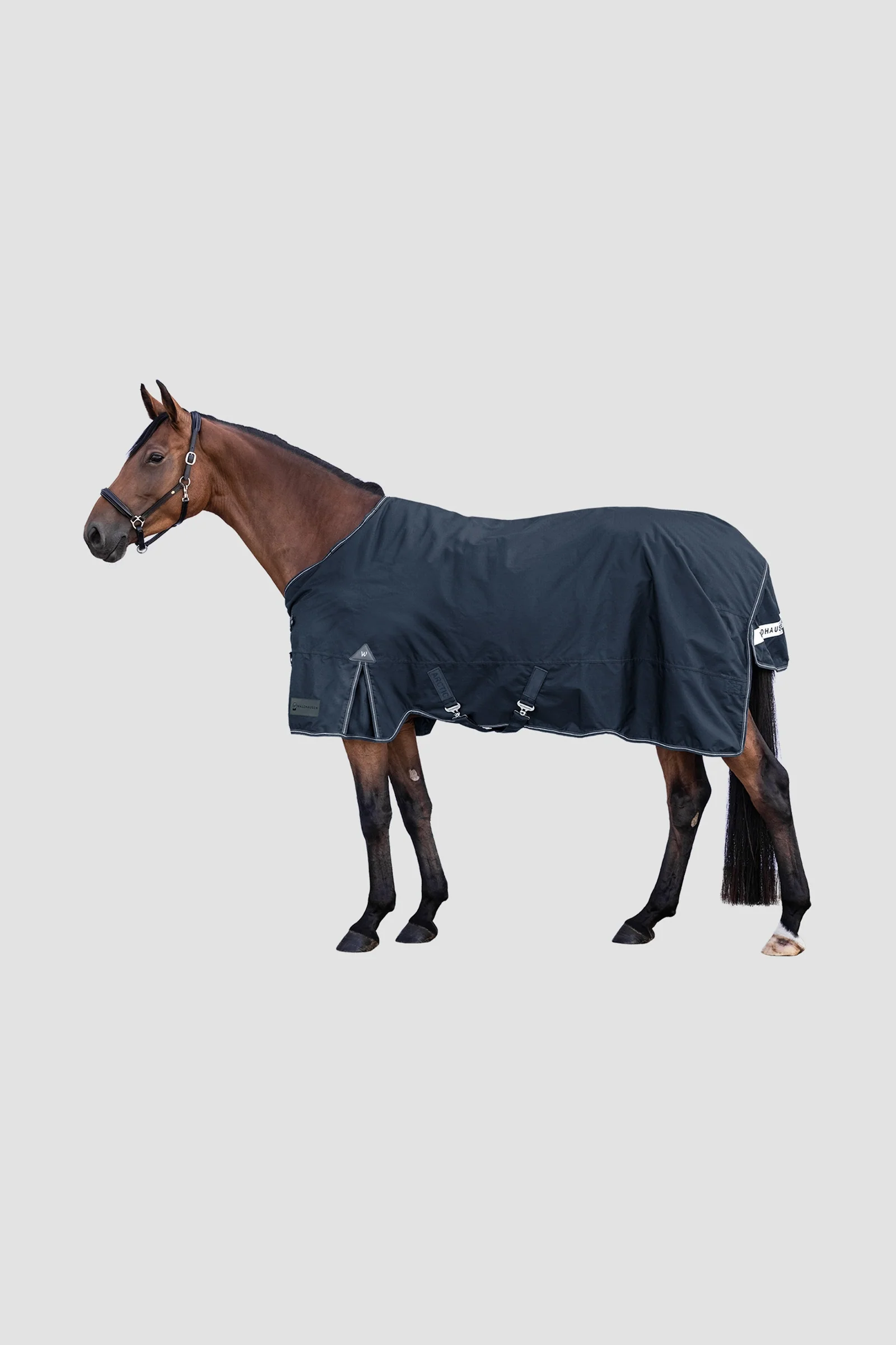 Zewnętrzny dywan Arctic Light Night Blue 155