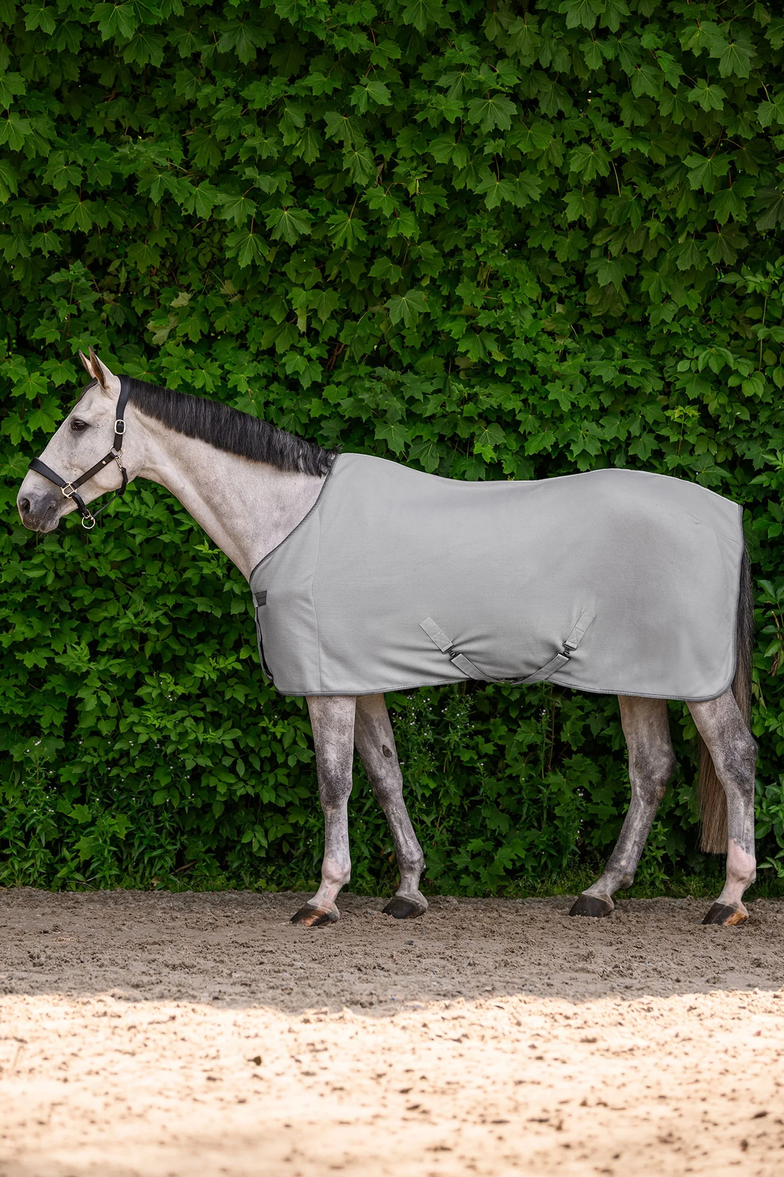 ECONOMIC derka polarowa z pasami krzyżowymi Silver Grey 135