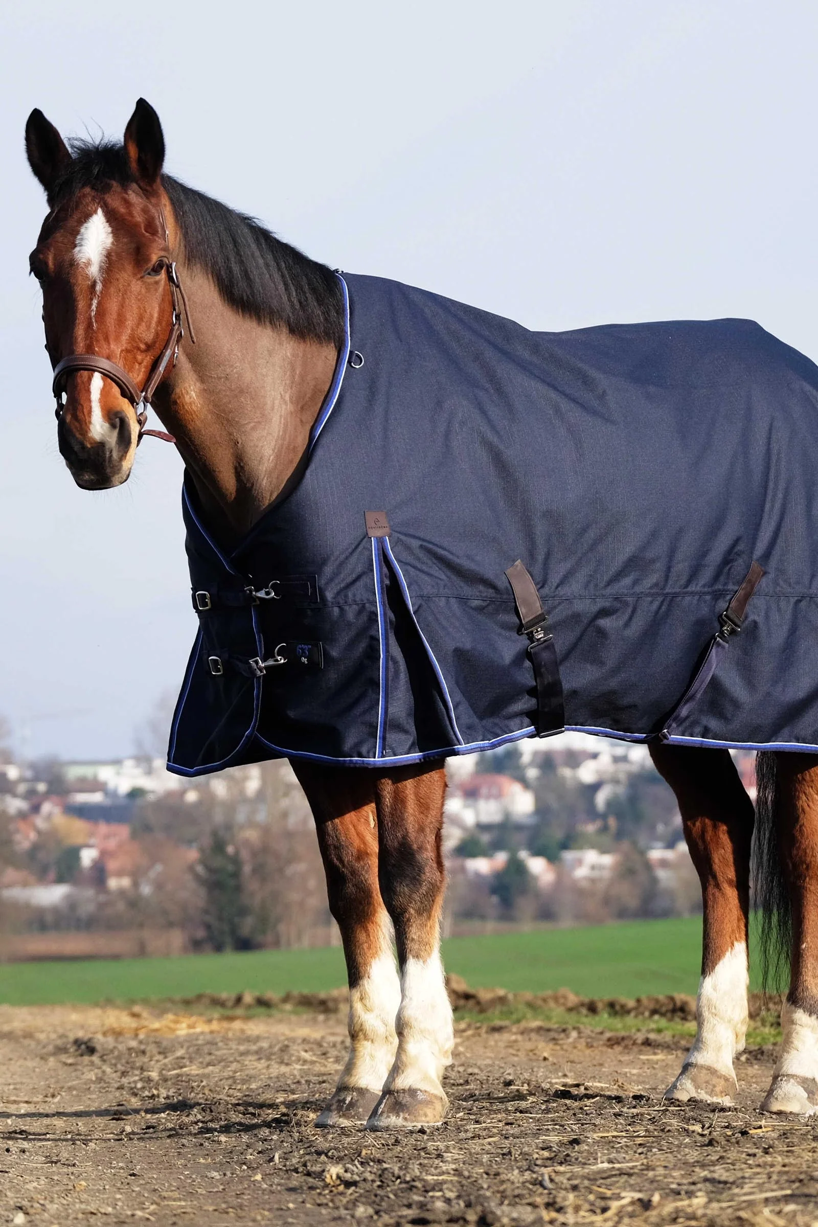 Classic 1200D derka padokowa, 50 g Navy 125