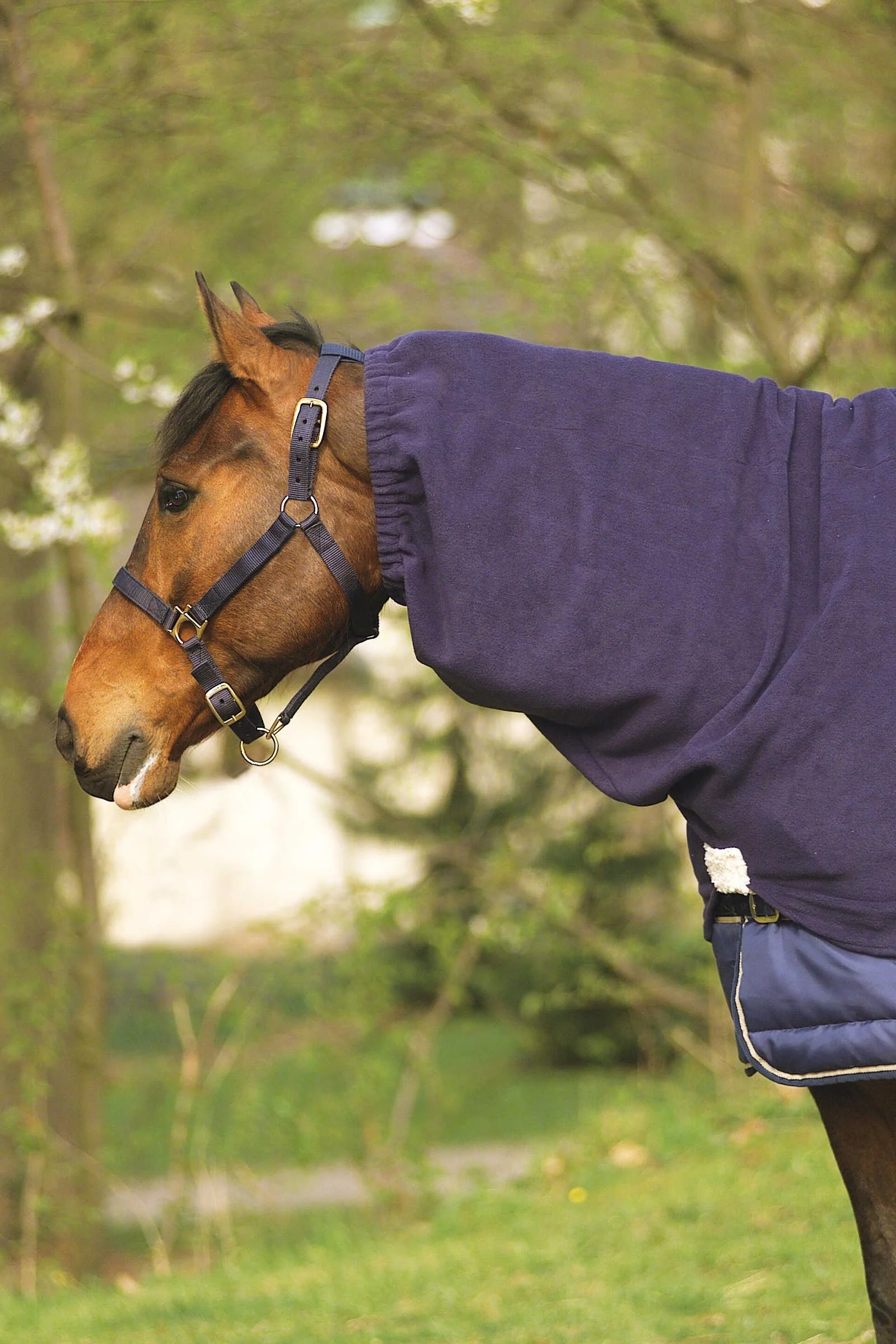 Polar Fleece kaptur na szyję Navy F