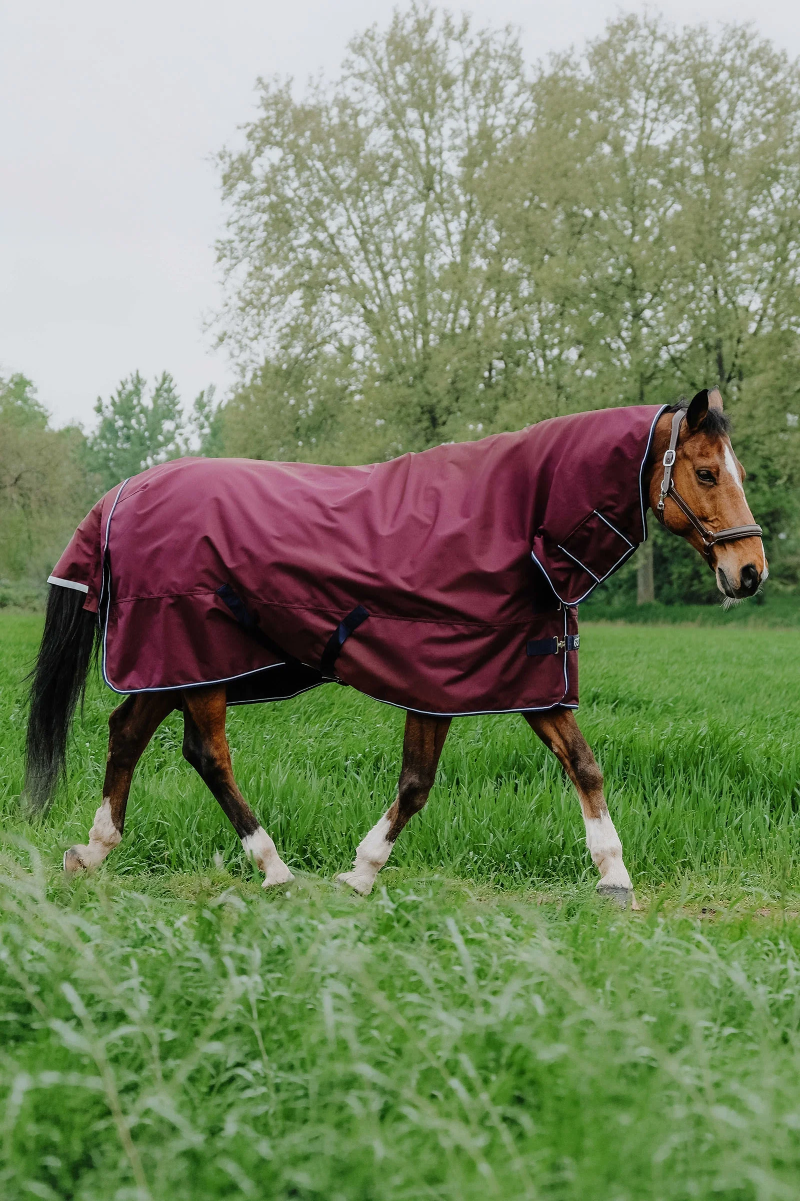 TYREX 1200D derka combo, 200 g Burgundy 145