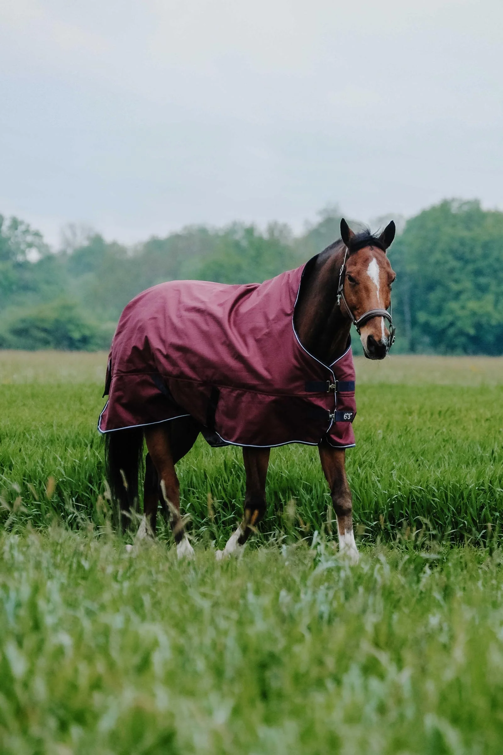 TYREX 1200D derka z wysokim kołnierzem, 50 g Burgundy 155