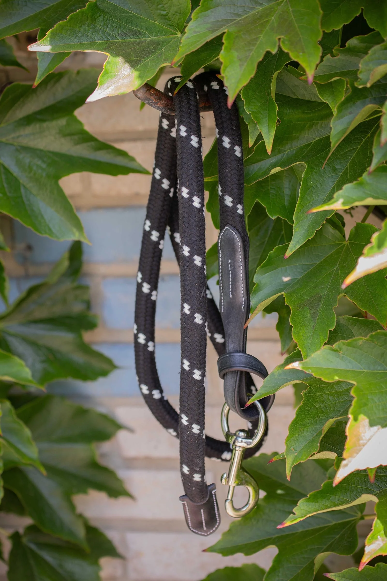 Lonża z liny i skóry (1,5 m) Black 150