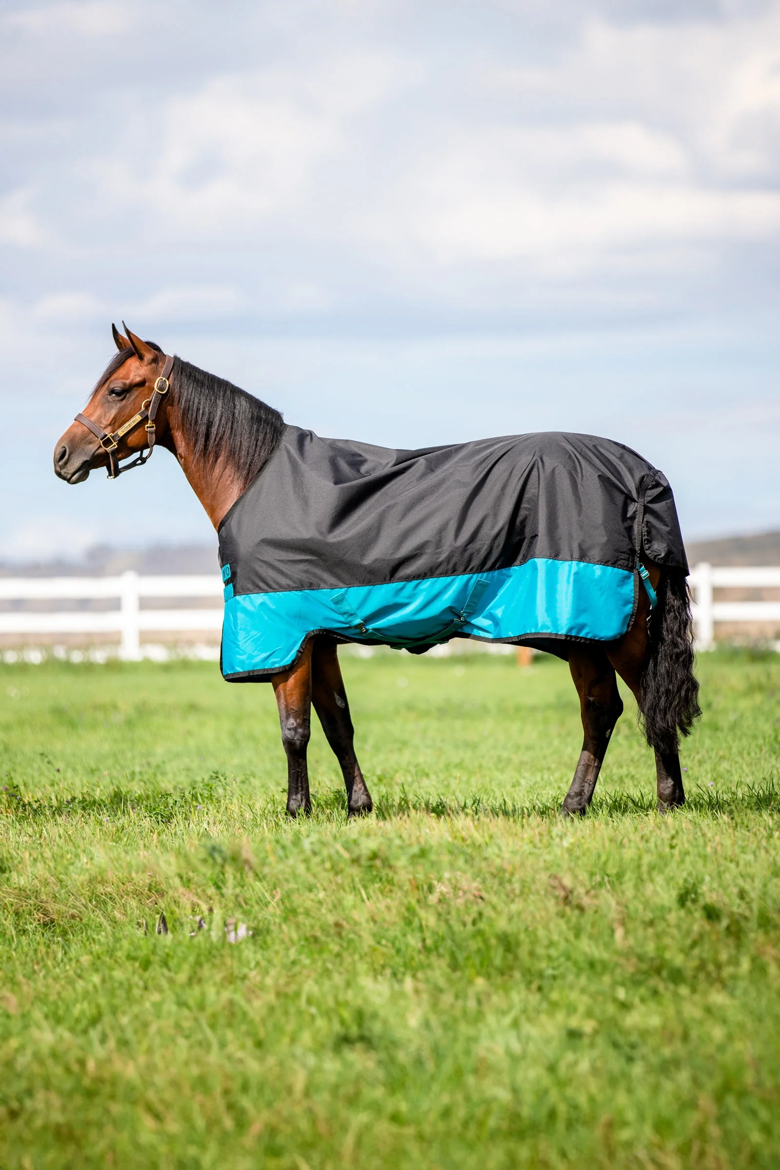 Mio derka padokowa, 200 g Black/Turquoise Blue 85