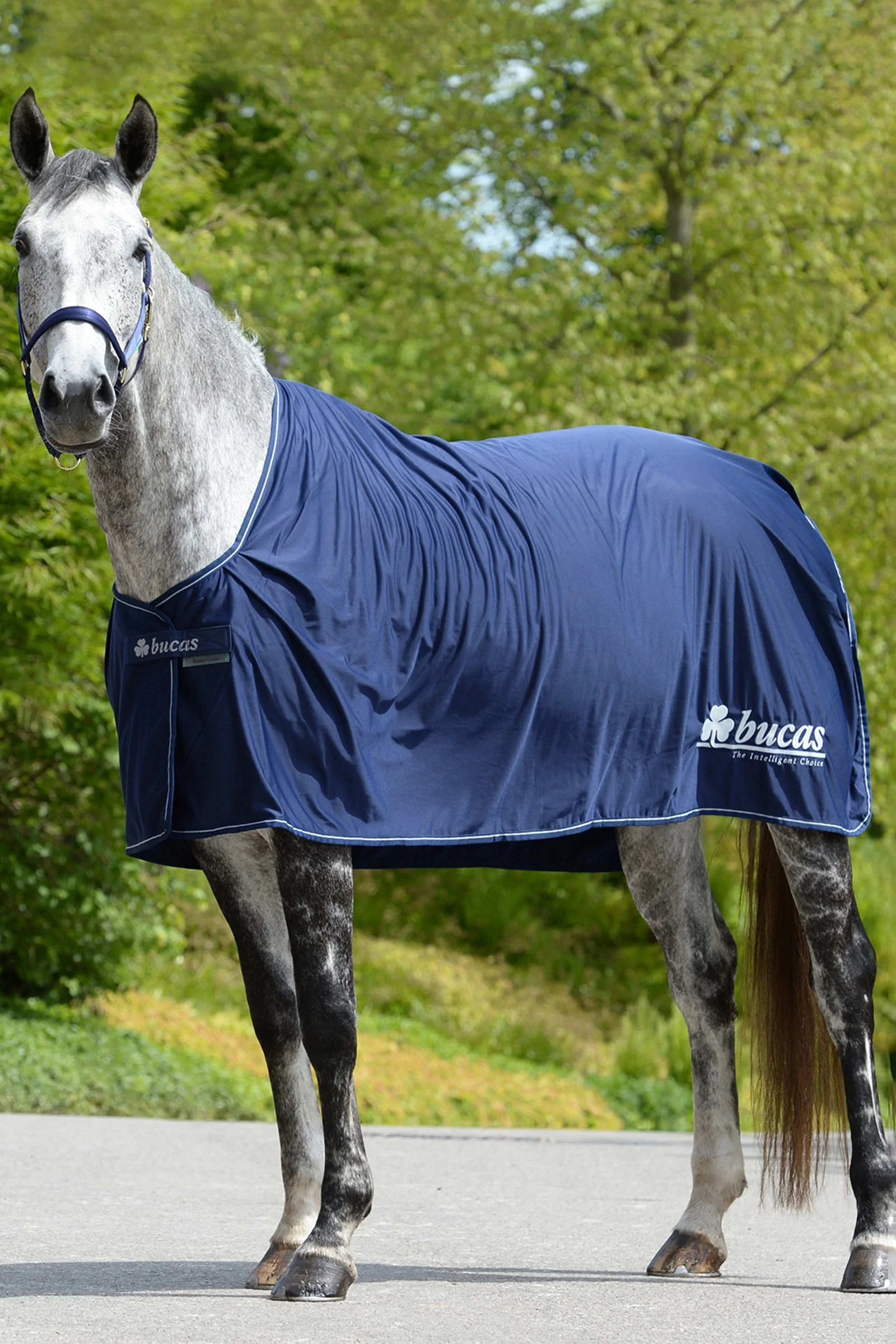 Power Prize Derka osuszająca Dark Blue/Silver 135