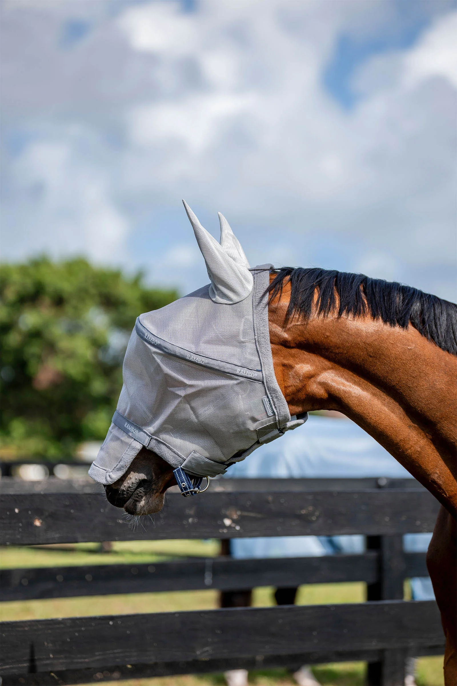 Rambo Flymask Silver/Titanium Grey & Silver P