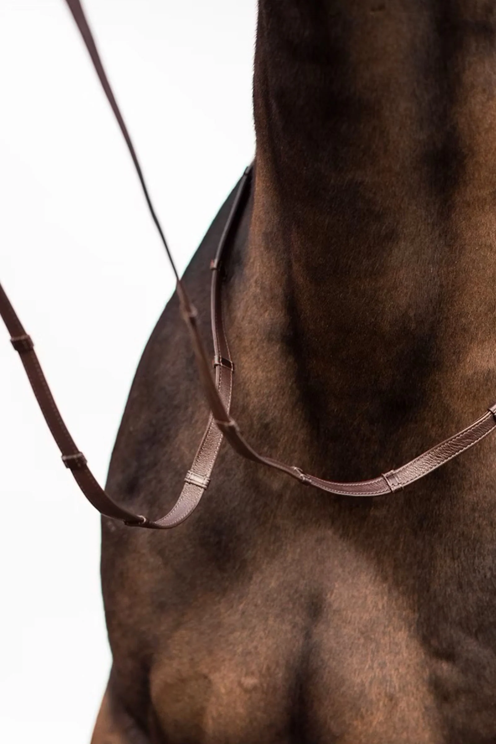 wodze Softy brown F