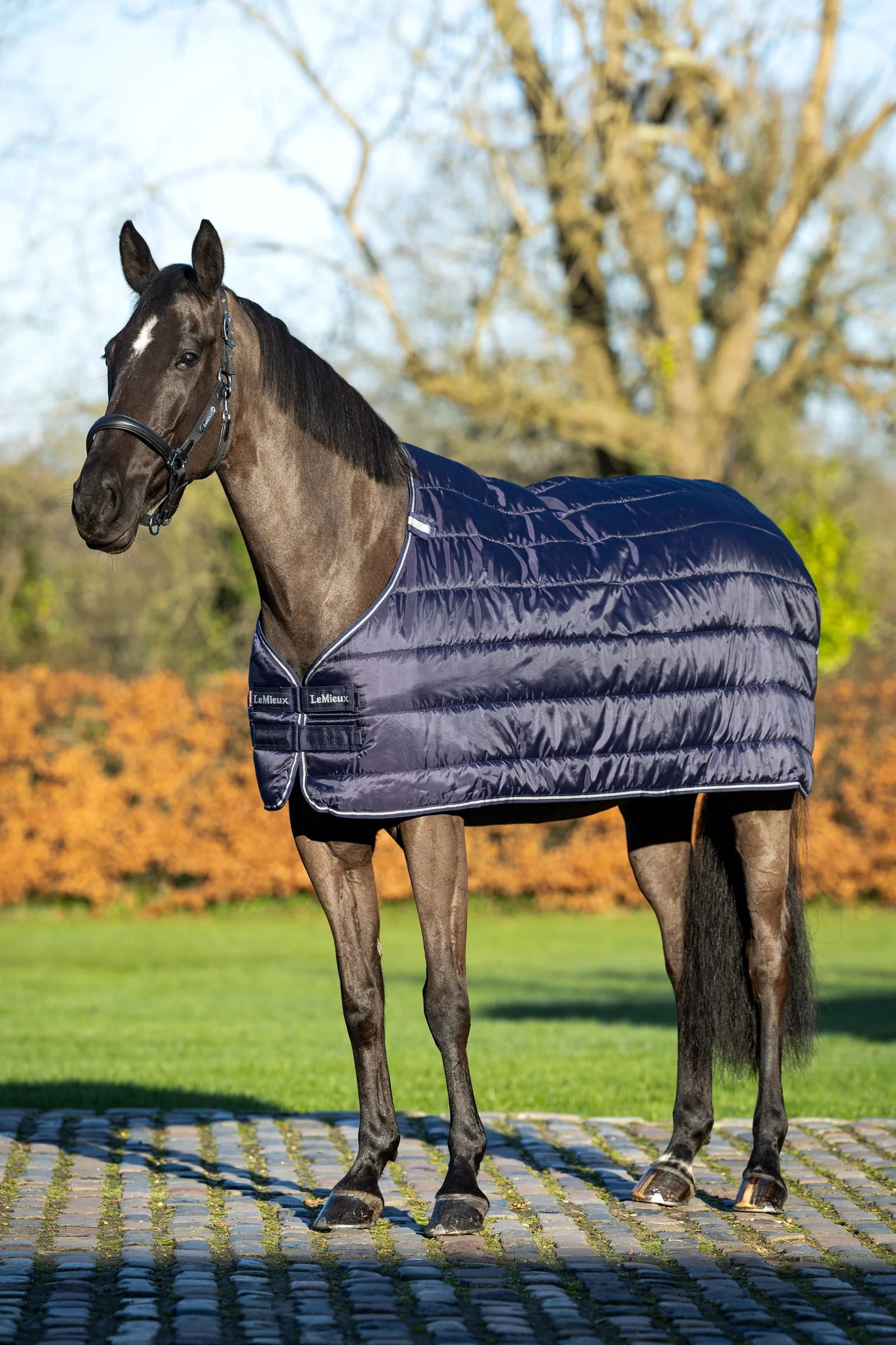 podpinka do derki, 100 g Navy 170