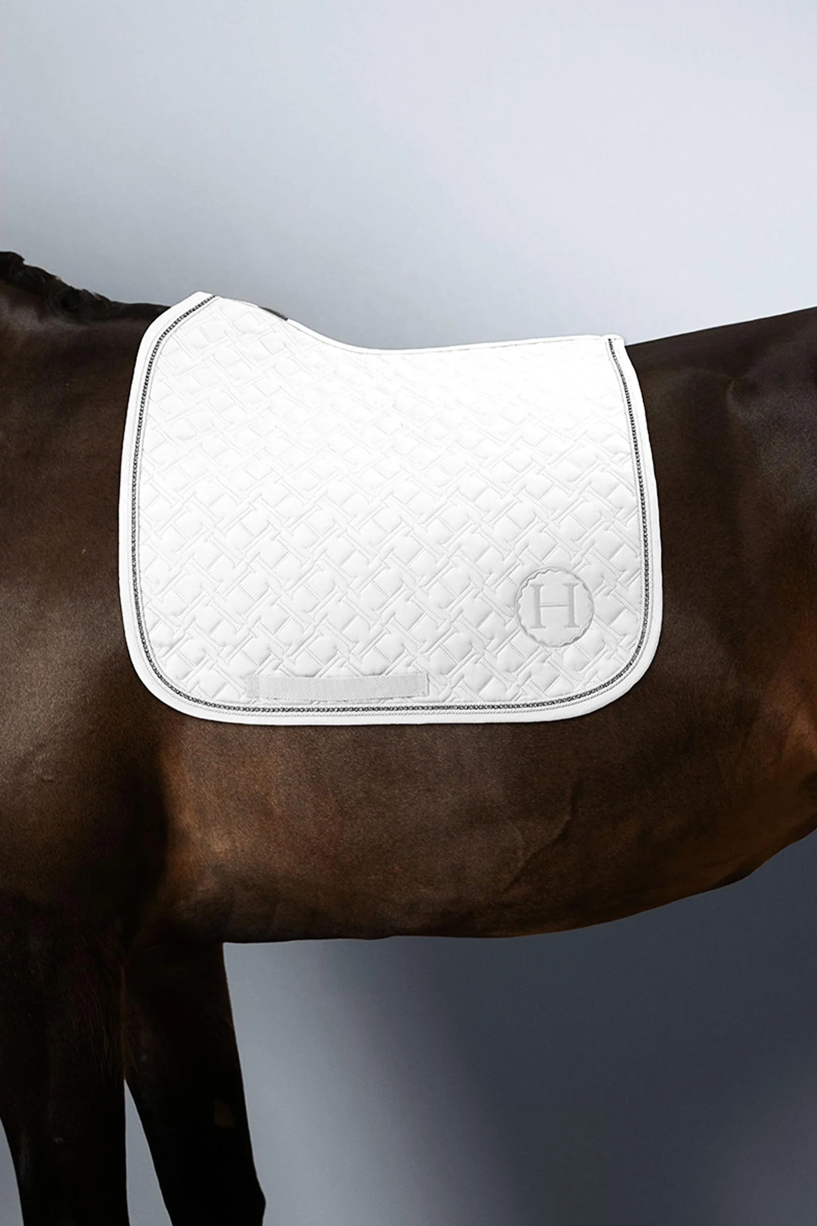 Saphir czaprak ujeżdżeniowy Blanc (White) F