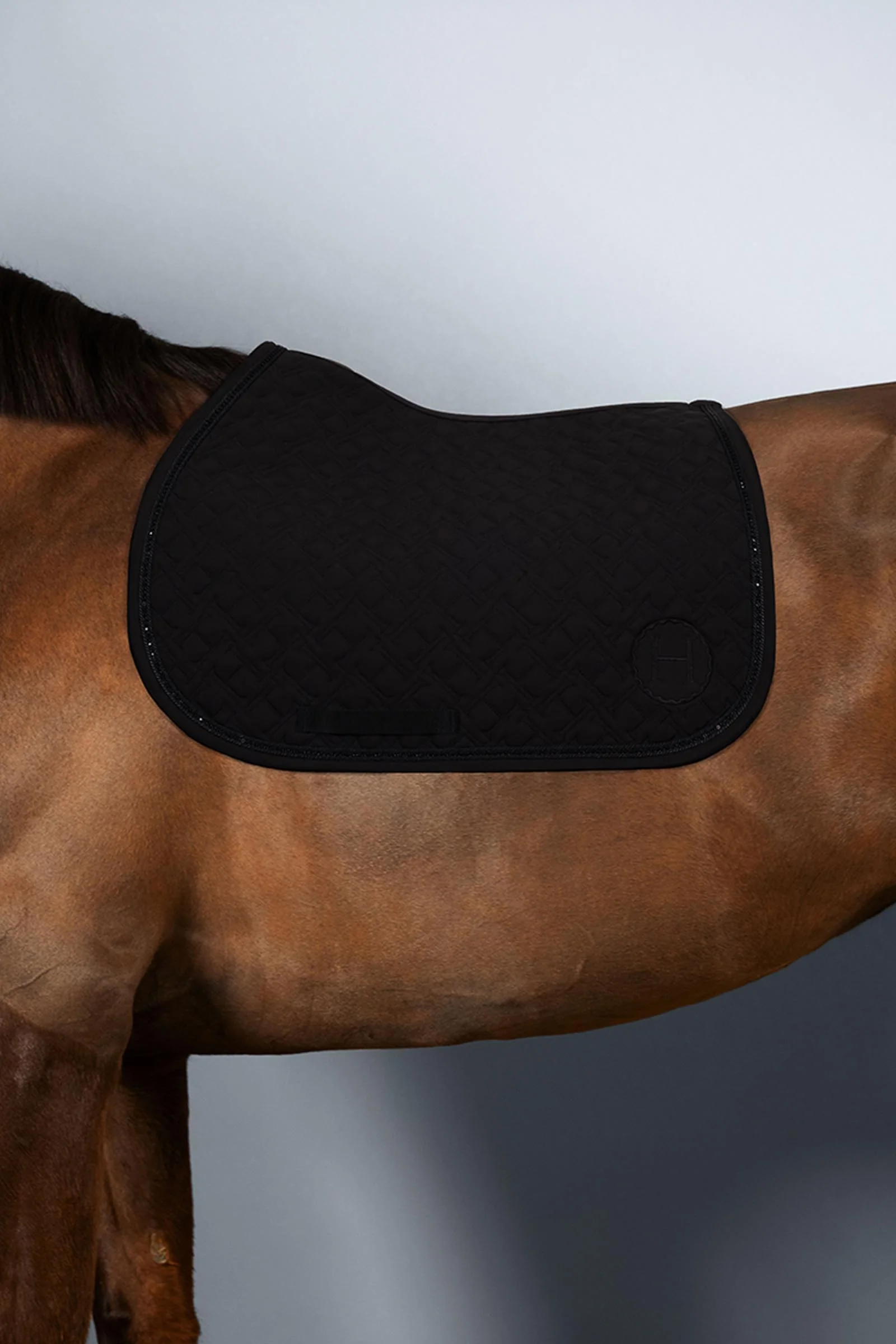 Saphir czaprak pony Noir (Black) P