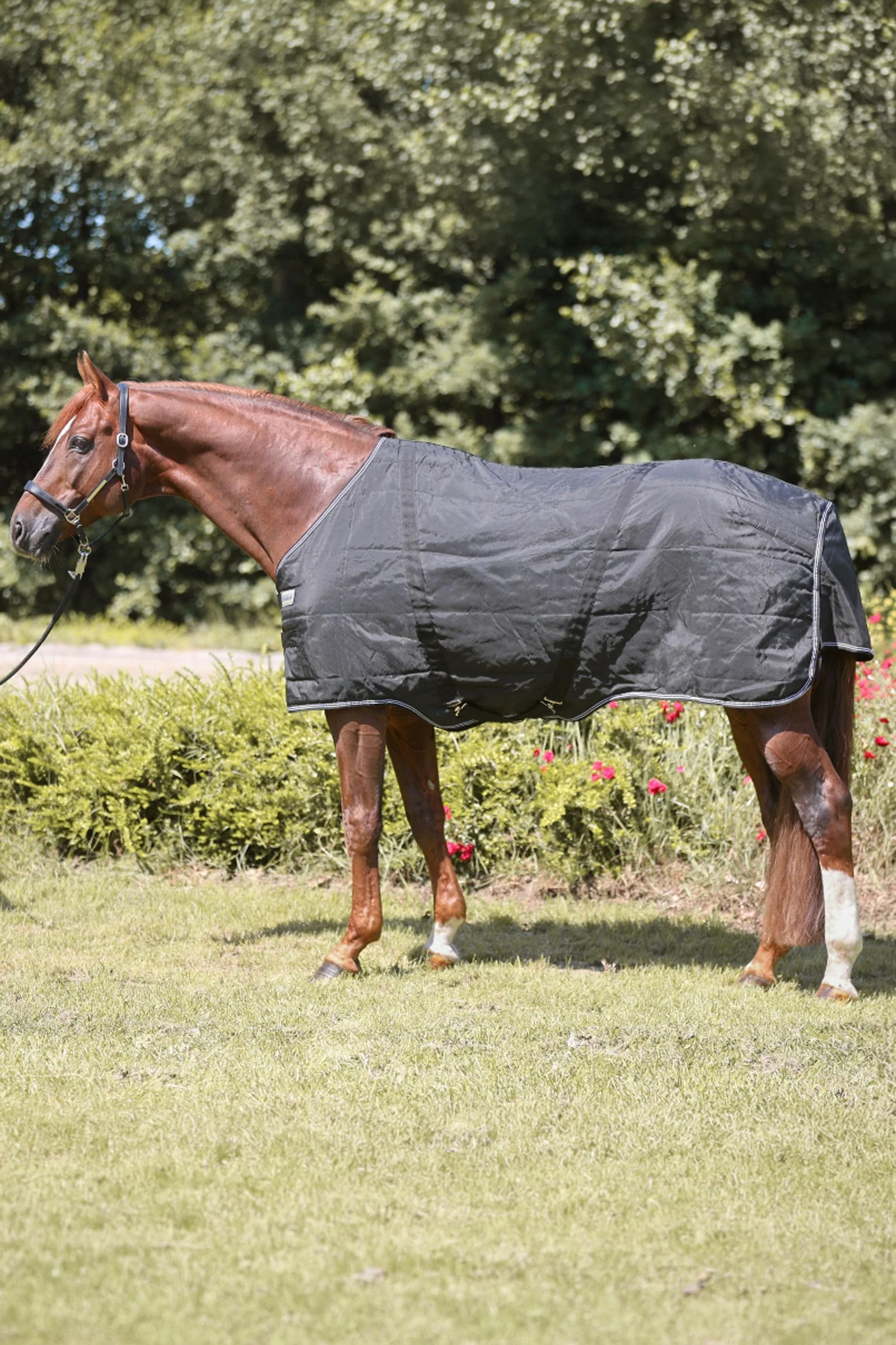 Stallion derka, 200 g Black 135